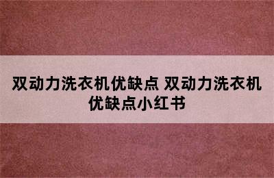 双动力洗衣机优缺点 双动力洗衣机优缺点小红书